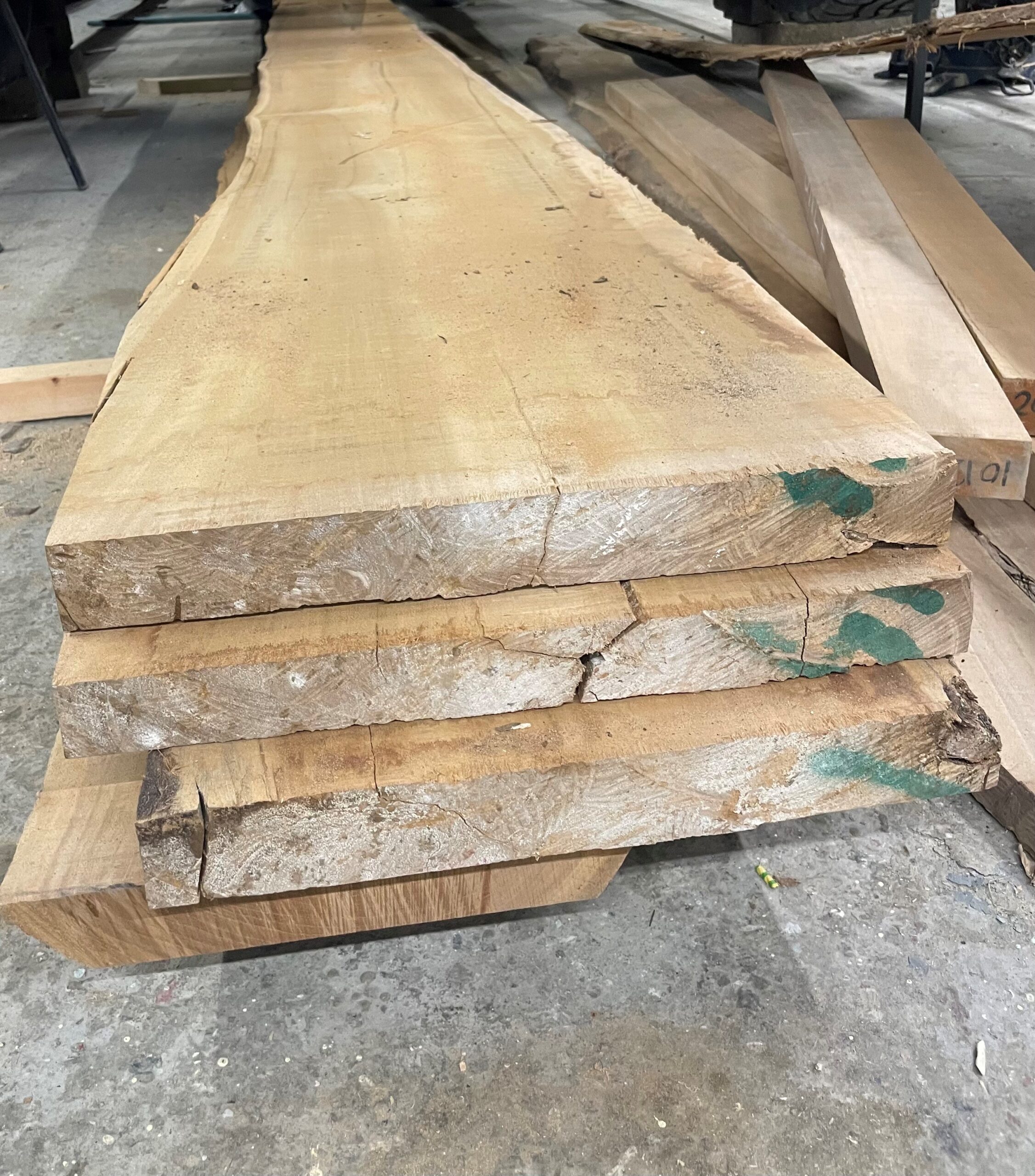 Teak 14